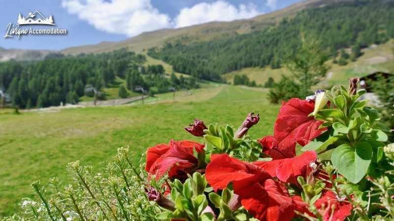 Baita Epi Cusini By Livigno Accomodation エクステリア 写真